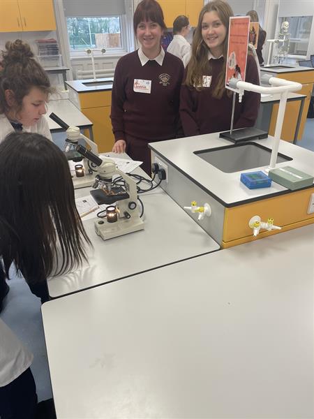 TY Science Fair - St Anne's 6th Class