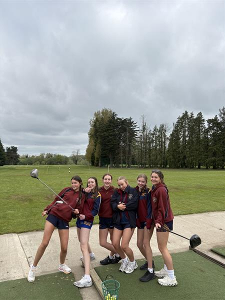 Second Golf Coaching Session in Royal Tara Golf Club
