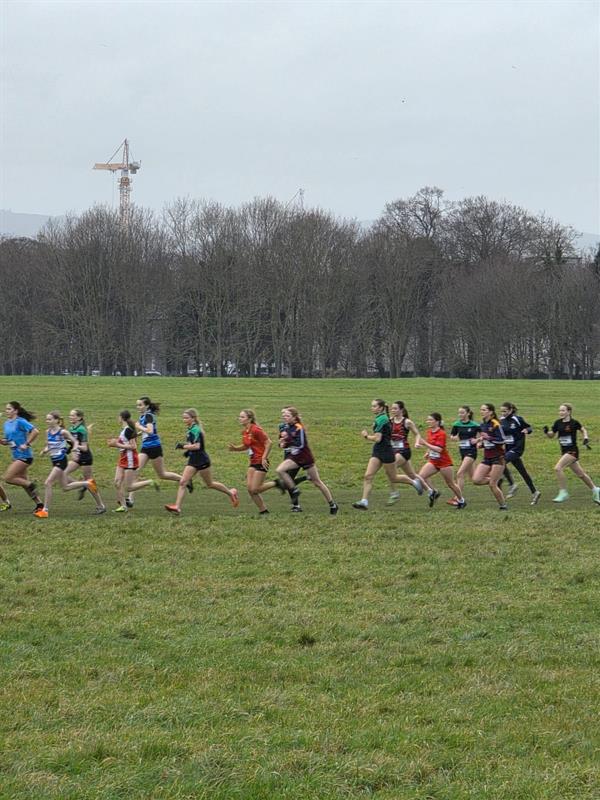 Athletics - North Leinster Schools Cross Country